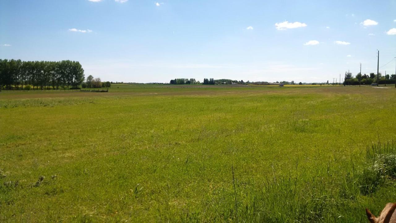 Gite Et Chambres D'Hotes Le Chene Billault Pouant Exteriör bild